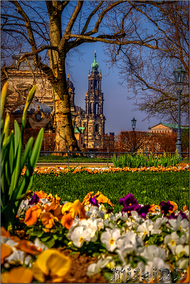 Spring in Dresden